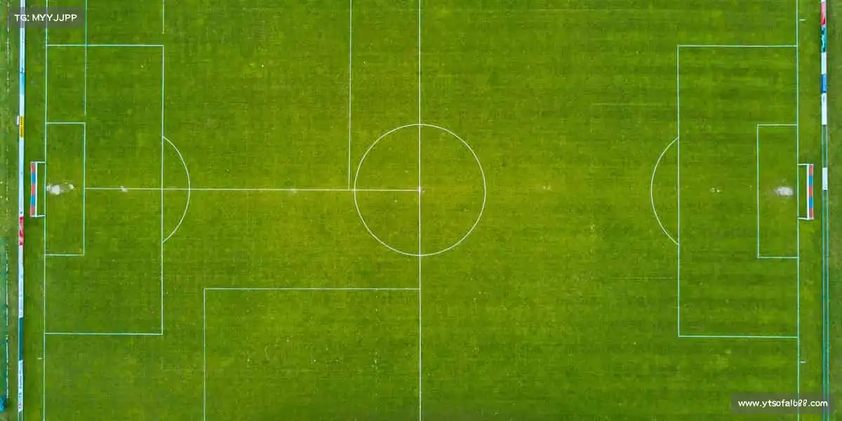 <strong>zoty中欧</strong>🏆用汗水浇筑梦想，让热爱永不退场！